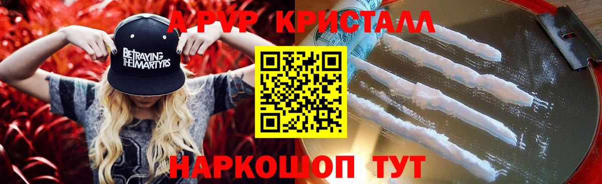 где найти   Alfa_PVP СК КРИС  Вход с VPN  Домодедово  Альфа ПВП СК  Alfa_PVP СК КРИС 