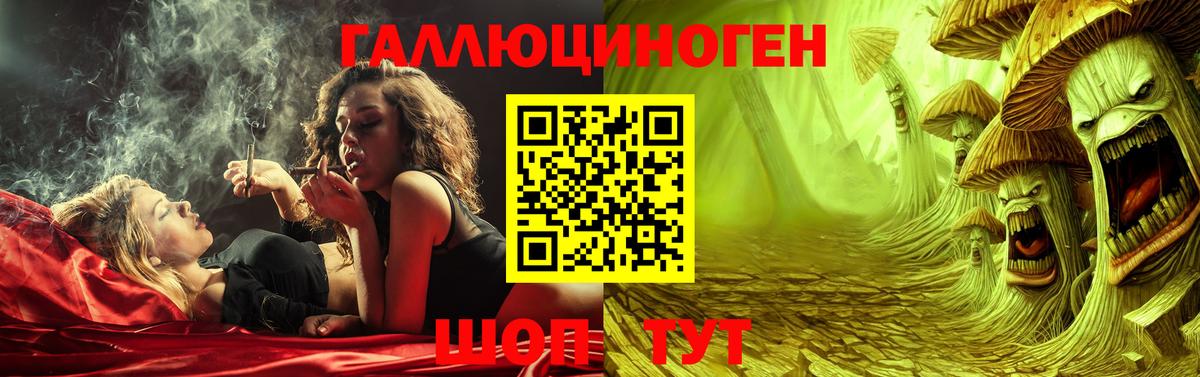 Псилоцибиновые грибы Psilocybe Домодедово